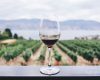 Simplifiez-vous la vie : achetez votre vin préféré en un clic